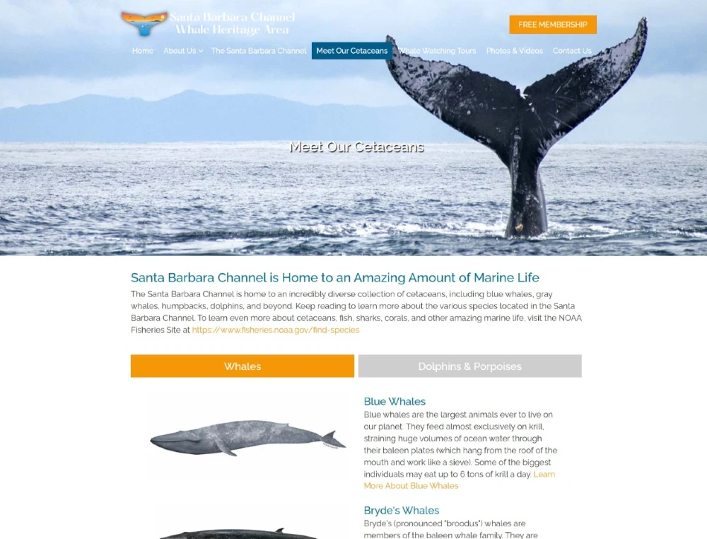 Santa Barbara Channel Whale Heritage Area website promoting marine conservation and education