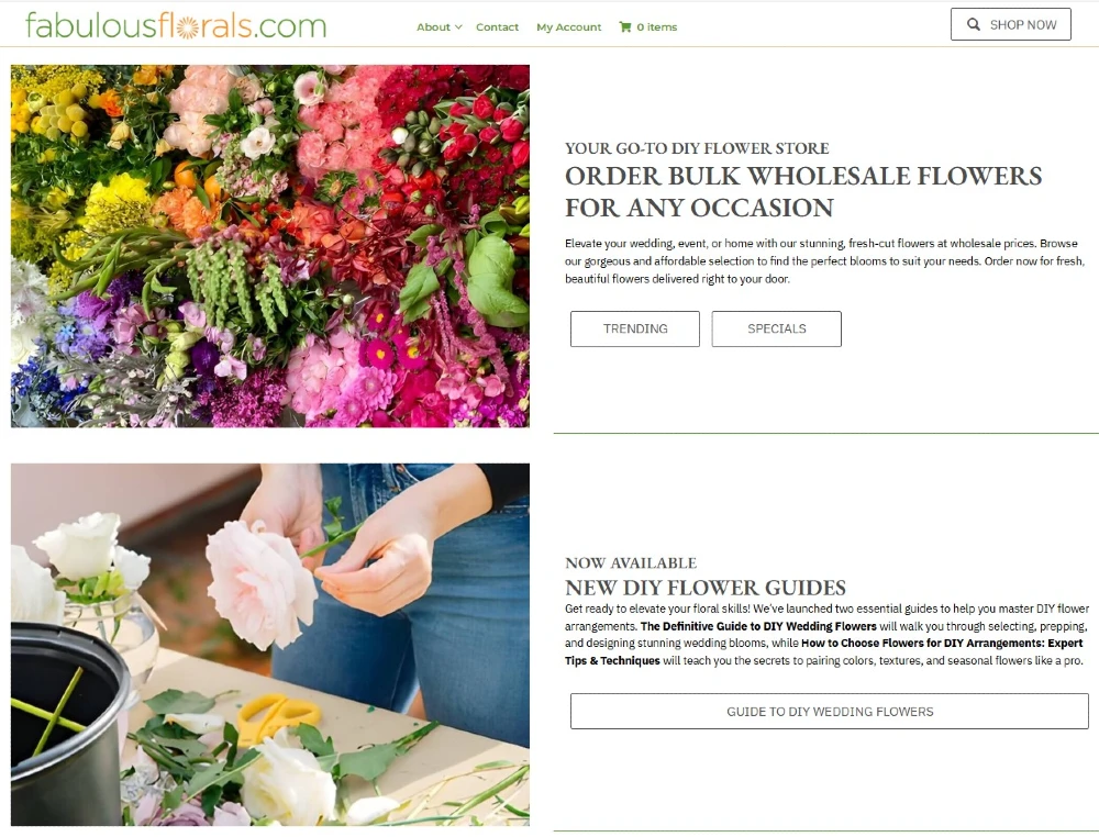 Fabulous Florals e-commerce website and marketing system by HYPEsites